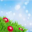 Photo: green grass lawn with red daisy flowers green grass lawn with red daisy flowers