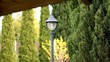 Lantern in the garden