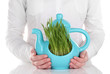 Green grass in decorative pot in hands isolated on white