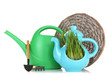 Green grass in decorative pot isolated on white