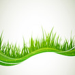 Vektor: Vector Illustration of an Abstract Background with Grass Vector Illustration of an Abstract Background with Grass