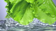 Fresh lettuce salad falls under water with a splash. 