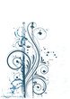 Floral background.