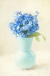 Foto: Forget me not flowers Forget me not flowers