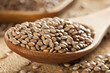 Dry Organic Brown Lentils