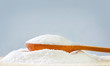 sugar