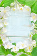 jasmine spring flowers frame on white background