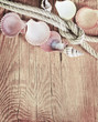 shells on wooden background