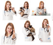 Photo: Veterinary doctor Veterinary doctor