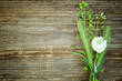 Wildflowers On Wood
