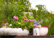 Pflanztisch, Sommerlicher Gartentisch