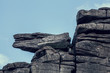 rock ledge