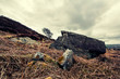 derbyshire rock