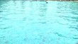freestyle swimmer in the pool