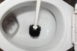 cleaning a toilet bowl with brush