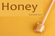 Yellow beautiful honeycomb and wooden honey dipper with honey .