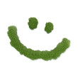 Smiley face shaped grass