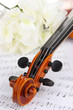 Classical violin  with flowers on notes
