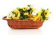 Beautiful spring flowers in basket isolated on white