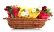 Beautiful spring flowers in basket isolated on white