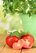 Fresh tomatoes and young plant in bucket