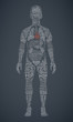 human body wordcloud