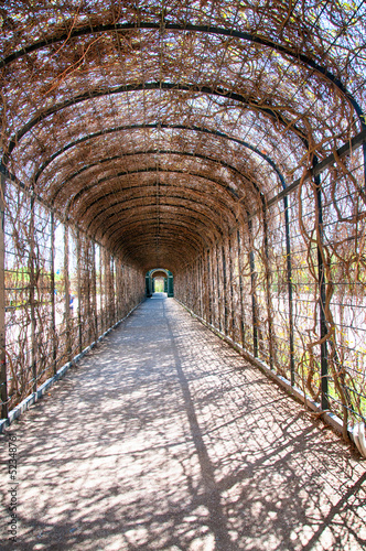 Photo: Vienna - Castle Schönbrunn - Crown prince's' garden Vienna - Castle Schönbrunn - Crown prince's' garden