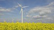 erneuerbare energie