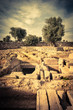 Gnatia Ruins