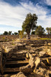 Necropolis of Gnatia