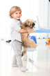 kid play dog