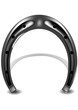 horseshoe lucky charm