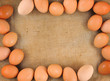 frame with eggs