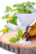 Foto: Alternative Medizin mit Globuli und Heilpflanzen Alternative Medizin mit Globuli und Heilpflanzen