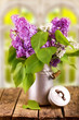 Flieder vorm Fenster