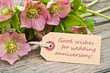 wedding anniversary