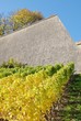 Festung Marienberg Würzburg