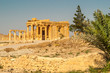 Palmyra Temple Ruins