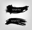 Vector Brush  sample text design