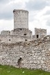 Medieval stone castle ruins, illustration
