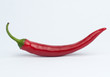 Chili pepper isolated with clipping path