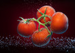 Beautiful tomatoes close-up photo with carbon dioxide bubbles
