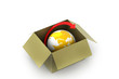 3d concept of World delivery container.