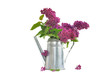 bouquet de lilas