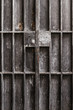 Metal Door