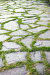 paved garden