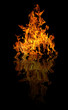 Photo: bright yellow fire with reflection on black bright yellow fire with reflection on black