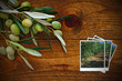 Green olives picked straight off the tree
