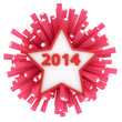 Star 2014 firework