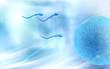 Illustration: Sperm Sperm